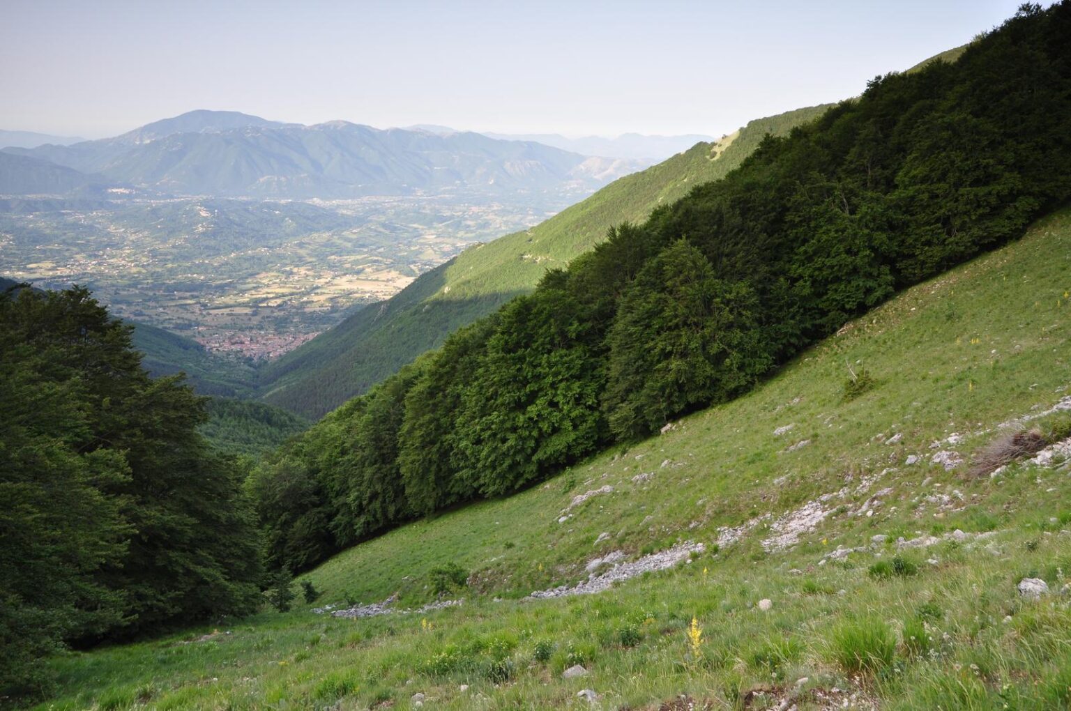Versante boscoso e valle con montagne all'orizzonte