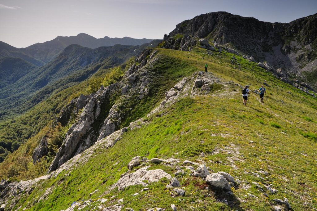 Escursionisti su un crinale erboso con roccia e montagne sullo sfondo