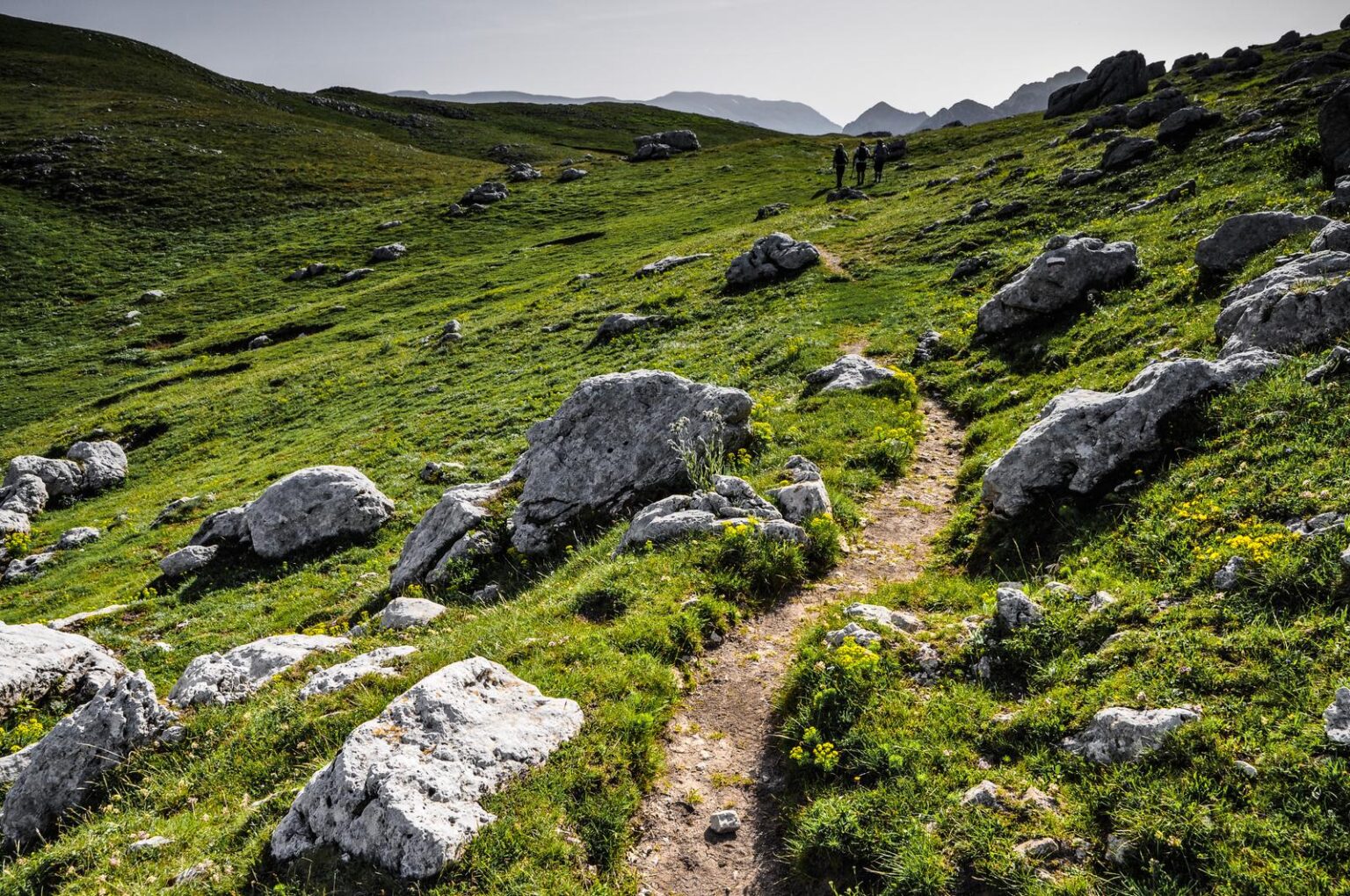 Sentiero tra prati e rocce bianche con escursionisti in lontananza