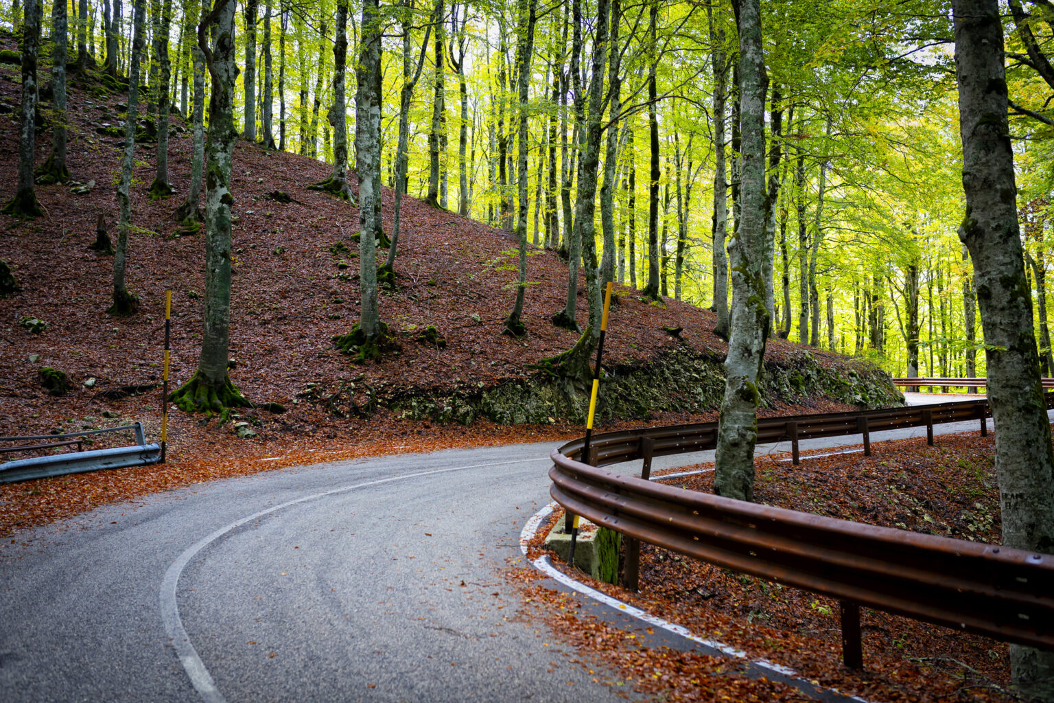 A hairpin bend on the pass road in the beech forest, among green and orange leaves