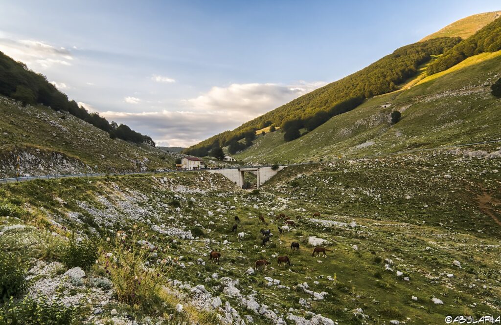 High-altitude valley with the pass road and a bridge, sunset light
