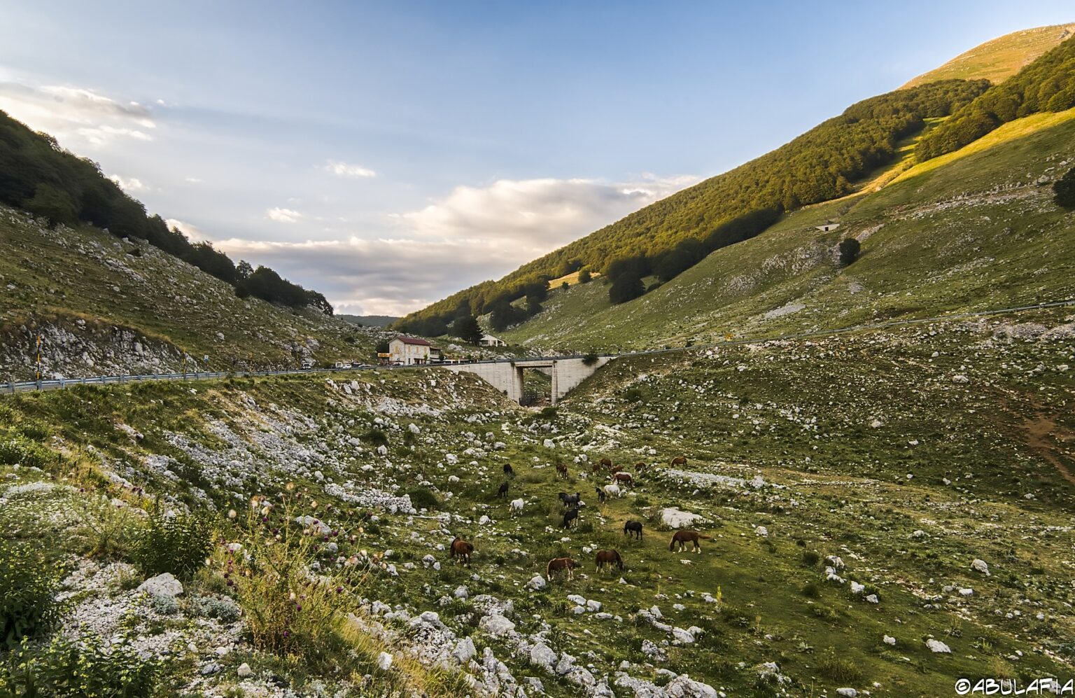 High-altitude valley with the pass road and a bridge, sunset light