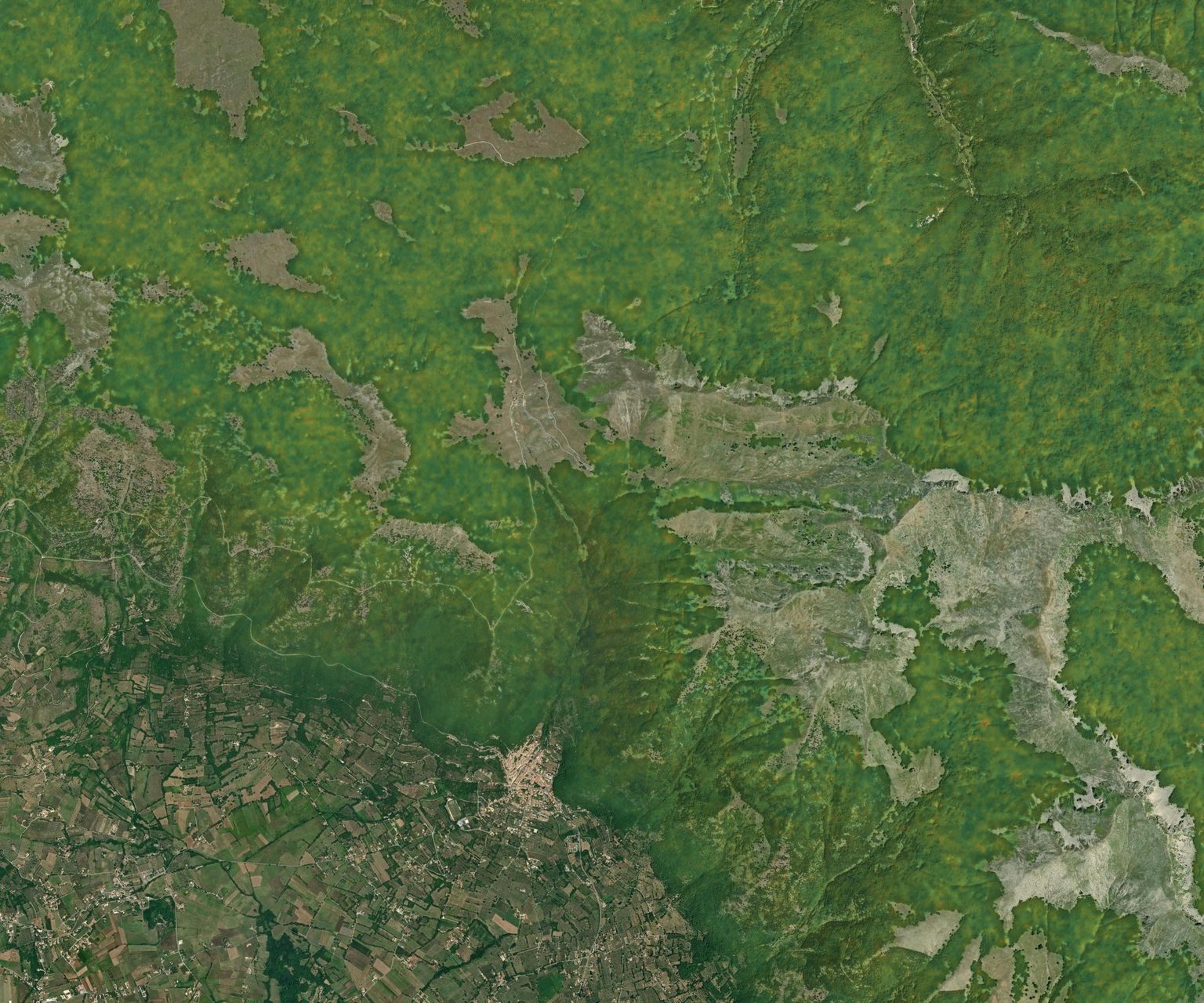Mappa satellitare del Foliage Tracker, settimana del 14 settembre
