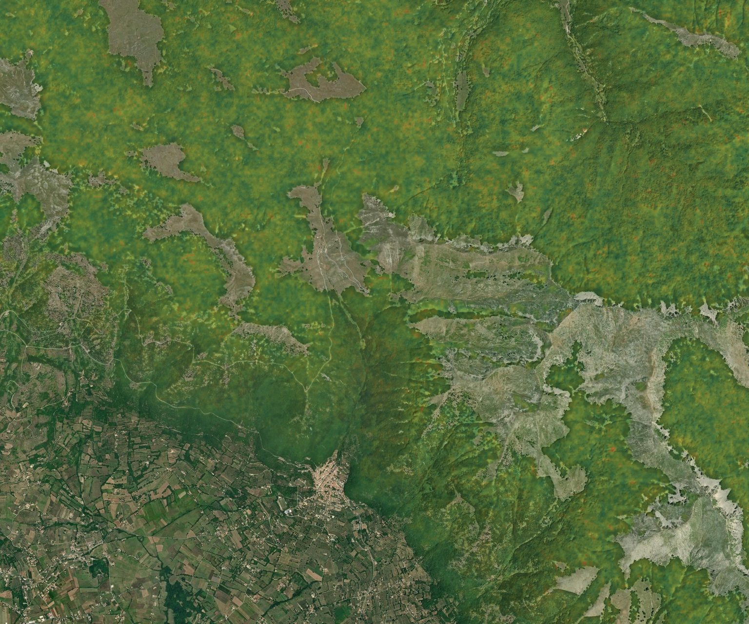 Mappa satellitare del Foliage Tracker, settimana del 21 settembre