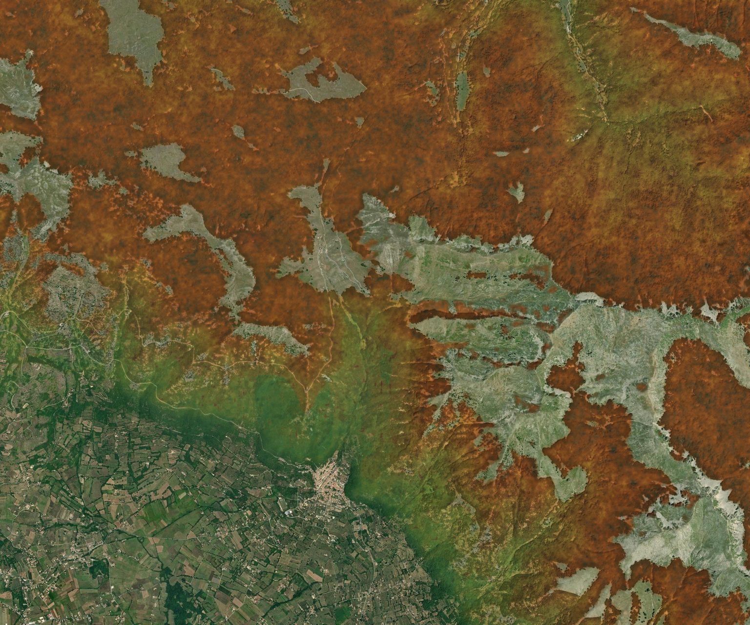 Mappa satellitare del Foliage Tracker, settimana del 19 ottobre