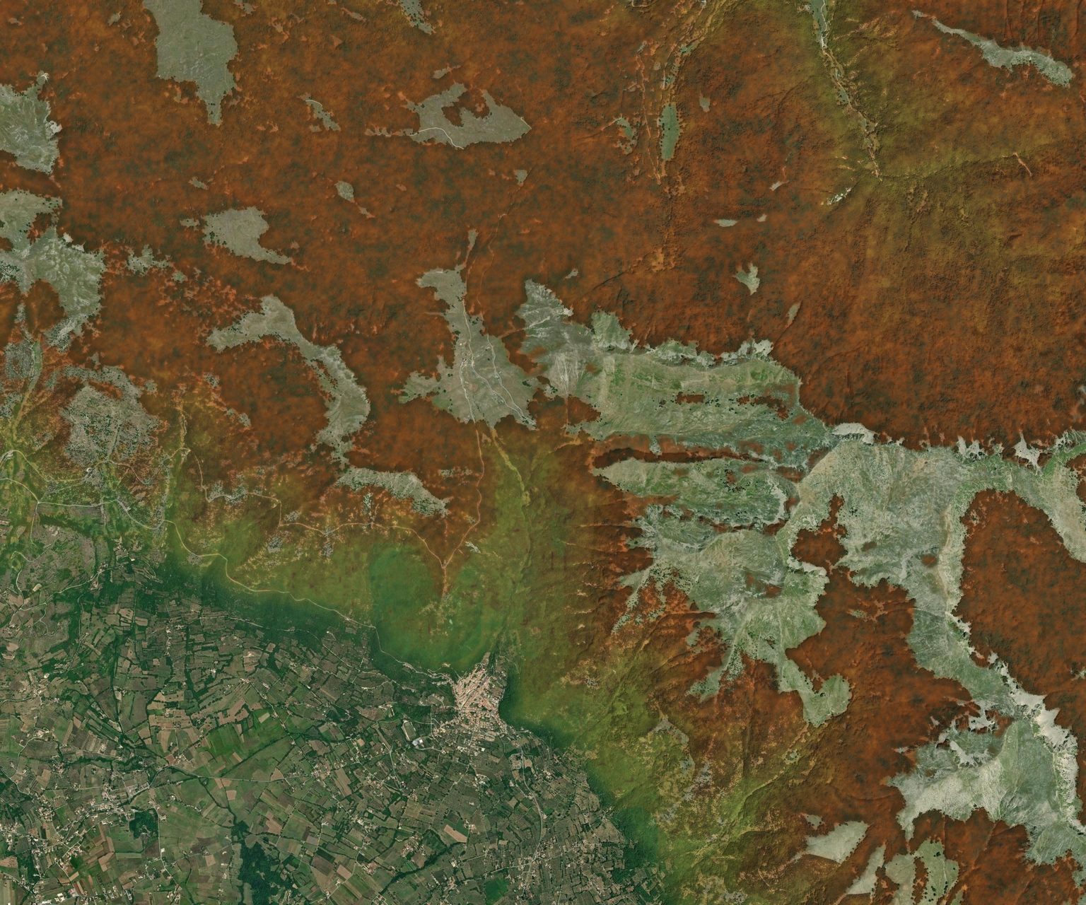 Mappa satellitare del Foliage Tracker, settimana del 26 ottobre