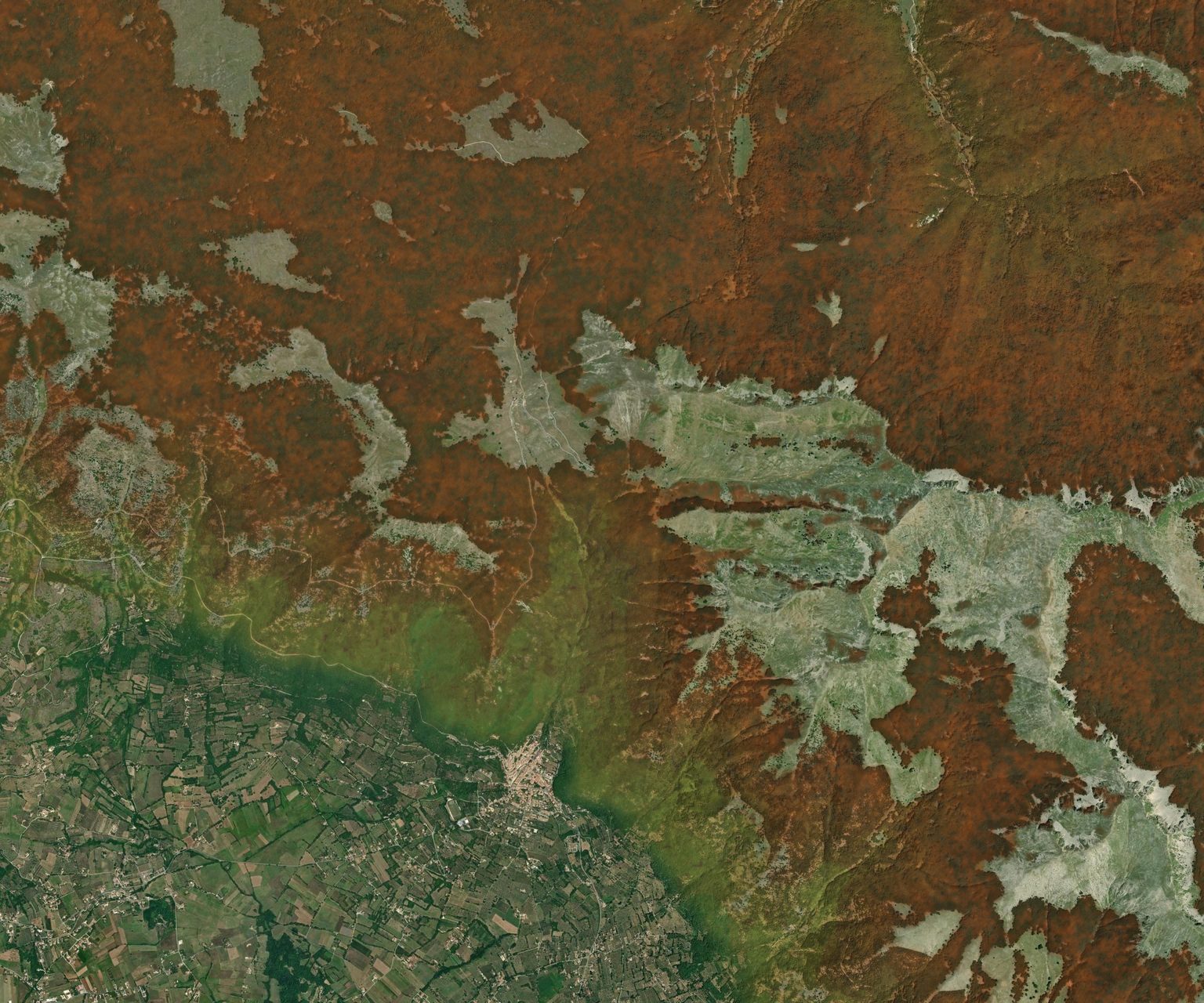 Mappa satellitare del Foliage Tracker, settimana del 2 novembre