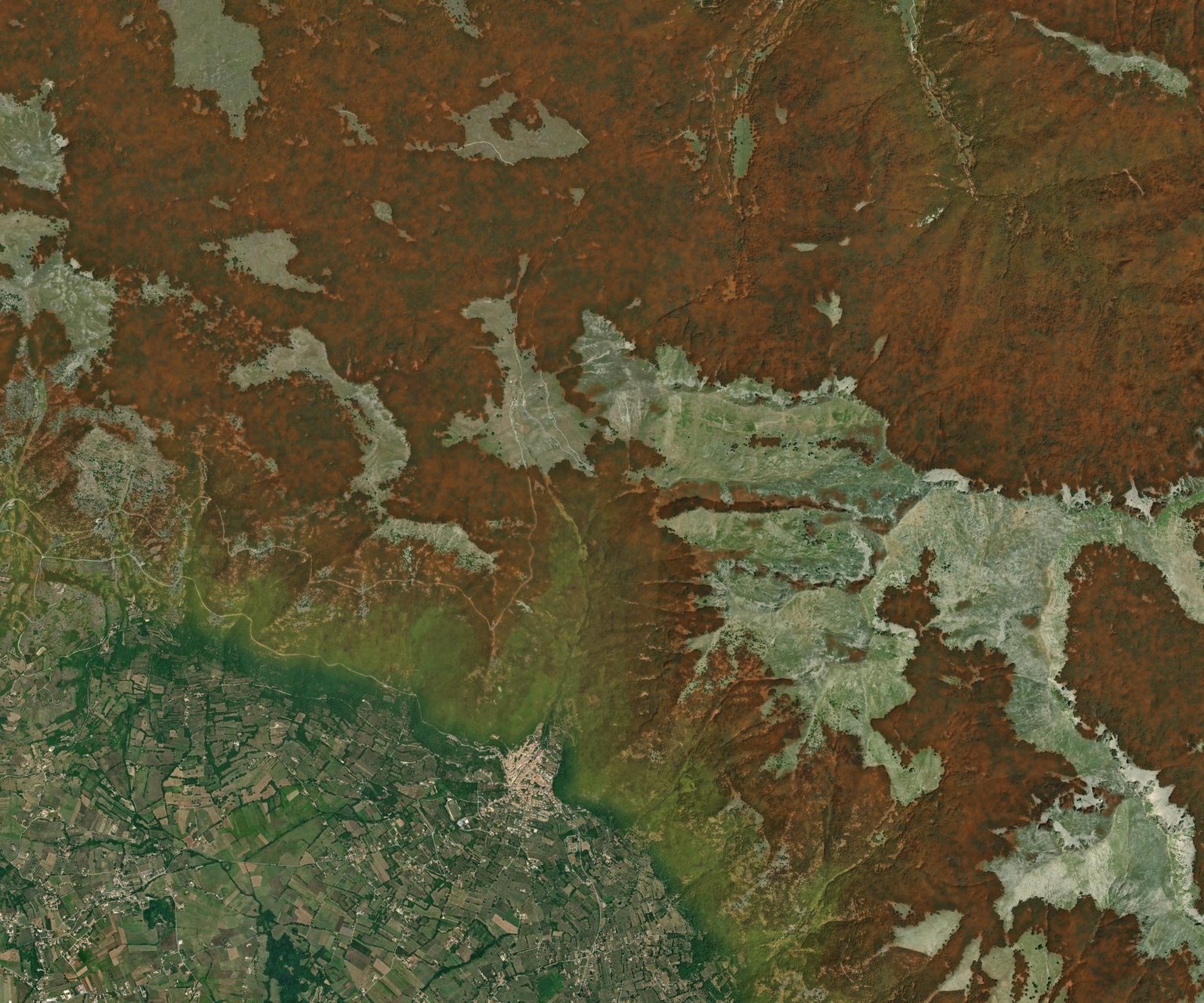 Mappa satellitare del Foliage Tracker, settimana del 9 novembre